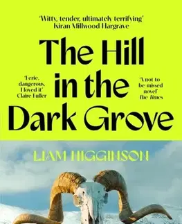 Svetová beletria The Hill in the Dark Grove - Liam Higginson