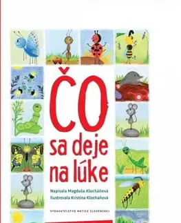 Básničky a hádanky pre deti Čo sa deje na lúke - Magduša Klocháňová