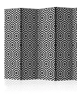 Paravány Paraván Black and White Hypnosis Dekorhome