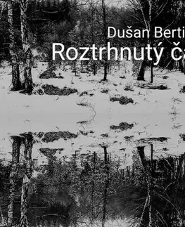 Detektívky, trilery, horory Roztrhnutý čas I. - Dušan Bertič