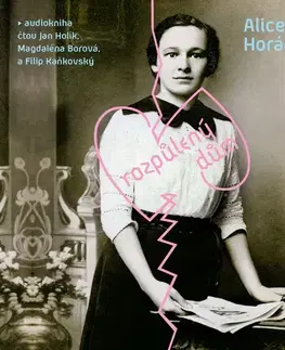 História OneHotBook Rozpůlený dům