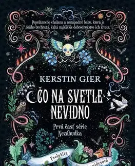 Young adults Nezábudka 1: Čo na svetle nevidno - Kerstin Gier,Silvia Ivanidesová