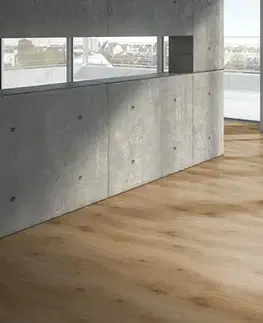 Basic 400 PARADOR Basic 400 Dub Horizont prírodné jemne matná štruktúra 1593813