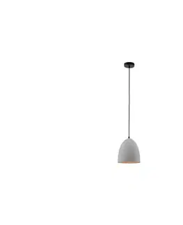 Svietidlá Paul Neuhaus 2231-22 - Luster na lanku ETON 1xE27/40W/230V 2231-22
