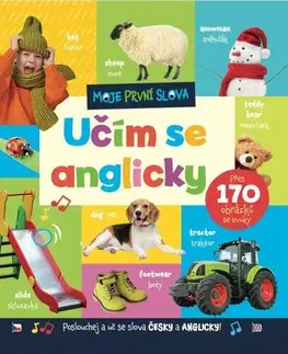 Leporelá, krabičky, puzzle knihy Moje první slova. Učím se anglicky