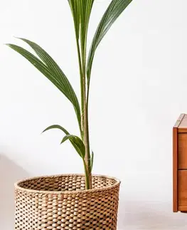 Stolové lampy Stolová lampa SATTI sivozelená keramická s tienidlom E14 1x40W elegantná dekoratívna do obývačky, spálne, pracovne, klasického štýlu