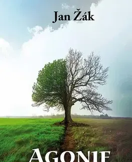 Česká beletria Agonie nebo kolaps - Jan Žák