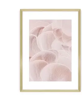 Obrazy Plagát Pastel Pink I