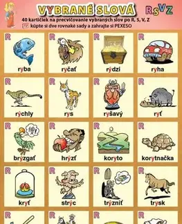 Slovenský jazyk Vybrané slová po R, S, V, Z - Petr Kupka