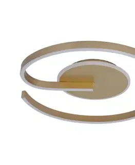 Svietidlá  LED stropné svietidlo LORENZO LED/22W/230V pr. 50 cm zlaté ML1849