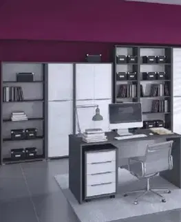 Obývacie steny KONDELA Rioma New pracovňa grafit / biela