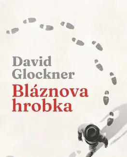 Detektívky, trilery, horory Bláznova hrobka - David Glockner