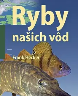 Rybárstvo Ryby našich vôd - Frank Hecker,Katarína Halčinová