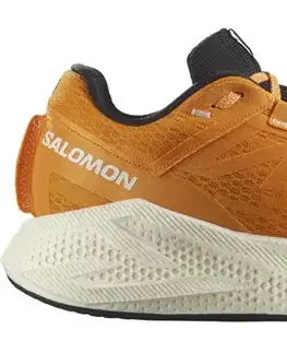 Cesta Salomon Aero Glide 3 M Veľkosť: 42 EUR