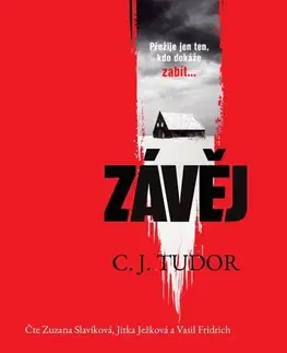 Detektívky, trilery, horory Témbr Závěj - audiokniha CD
