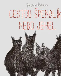 Detektívky, trilery, horory Tympanum Cestou špendlíků nebo jehel - audiokniha