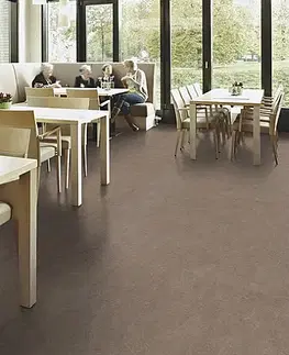 Marmoleum decibel FORBO Marmoleum decibel Shrike 324635