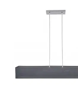 Svietidlá Luster na lanku CAROLINE 2xE14/40W/230V