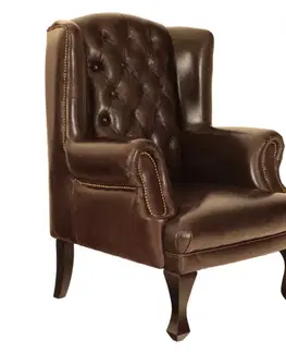 Sedacie súpravy Kreslo Brusel  z pravej hovädzej kože Brown
