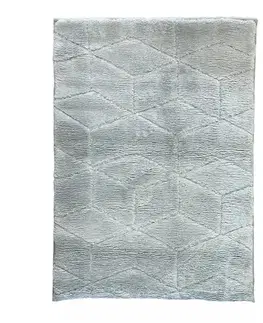 Moderné koberce Koberec Cosy Rug 0,6/0,9 strieborná