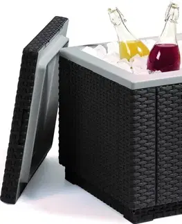 Záhradné úložné boxy Záhradný chladiaci box ICE CUBE