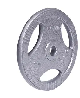 Závažia k činkám Liatinový kotúč inSPORTline Hamerton 20 kg 30 mm