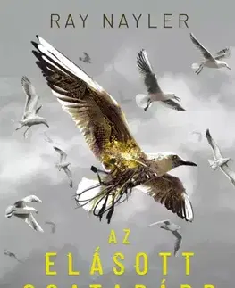 Sci-fi a fantasy Az elásott csatabárd - Ray Nayler