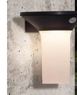 Svietidlá Eglo 900243 - LED vonkajšie solárne svietidlo so senzorom 6xLED/0,03W/3,7V IP44 900243