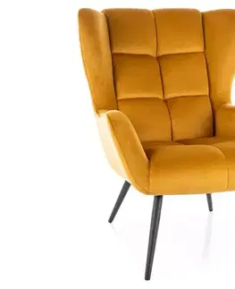 Kreslá Kreslo Louis Velvet