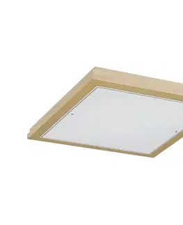Svietidlá Argon 7146 - Stropné svietidlo CASERTA 2xE27/15W/230V 32x32 cm 7146