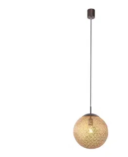Svietidlá Paul Neuhaus 2420-48 - Luster na lanku GRETA 1xE27/60W/230V 2420-48