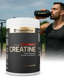 Kreatín Výživový doplnok inSPORTline Kreatin 500g exotic