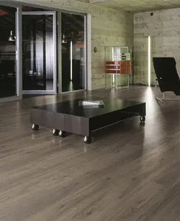 Dynamic KRONOTEX Dynamic Orech palazzo D 4757