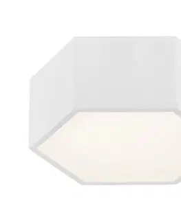 Svietidlá Argon 3828 - LED Stropné svietidlo ARIZONA LED/9W/230V biela 3828
