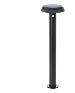 Záhradné lampy Brilliant - LED Solárna lampa so senzorom ALVERO LED/4W/3,7V 70 cm IP44 čierna G40432/06