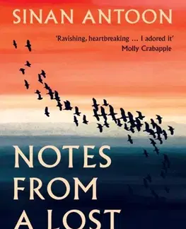 Beletria Notes from a Lost Country - Sinan Antoon