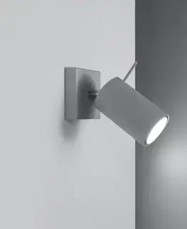 Lampy do obývačky Nástenná lampa Oregon 1 sivá
