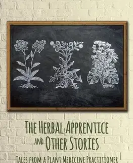 Biografie - Životopisy The Herbal Apprentice and Other Stories - Andrew Chevallier