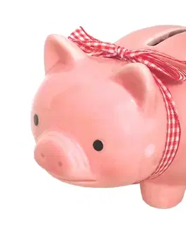 Pokladničky MAKRO - Pokladnička prasiatko