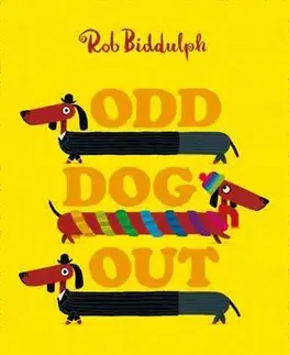 V cudzom jazyku Odd Dog Out - Rob Biddulph