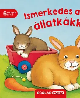 Leporelá, krabičky, puzzle knihy Ismerkedés az állatkákkal - Monika Neubacher-Fesser