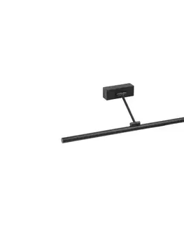 Svietidlá FARO Barcelona FARO 61088 - LED Obrazové svietidlo MARGITTE LED/12W/230V čierna 61088