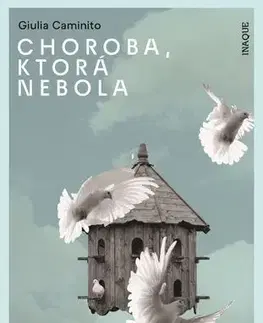 Romantická beletria Choroba, ktorá nebola - Giulia Caminito