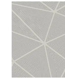Moderné koberce Koberec Pierre Cardin Valeria 0,8/1,5 Yl02b