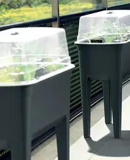 Kvetináče a truhlíky DEPO300-2411U plastový kvetináč na pestovanie paradajok 29,2 cm borovicovo zelená