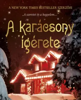 Svetová beletria A karácsony ígérete - Donna VanLiere