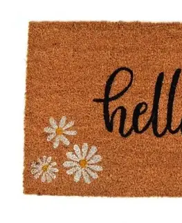 Rohožky Kinekus Rohož 40x60 cm PVC+kokos HELLO