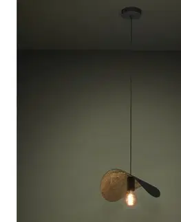 Svietidlá Eglo 390392 - Luster na lanku SACEDA 1xE27/40W/230V 41 cm čierna/zlatá 390392