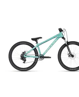 Bicykle KELLYS WHIP 10 DX 2025 Moonstone grey - L (13", 170-190 cm)