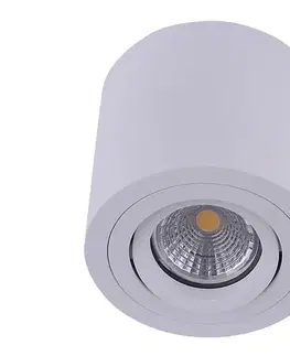Svietidlá Emithor  - Stropné bodové svietidlo SURFACE 1xGU10/50W/230V 